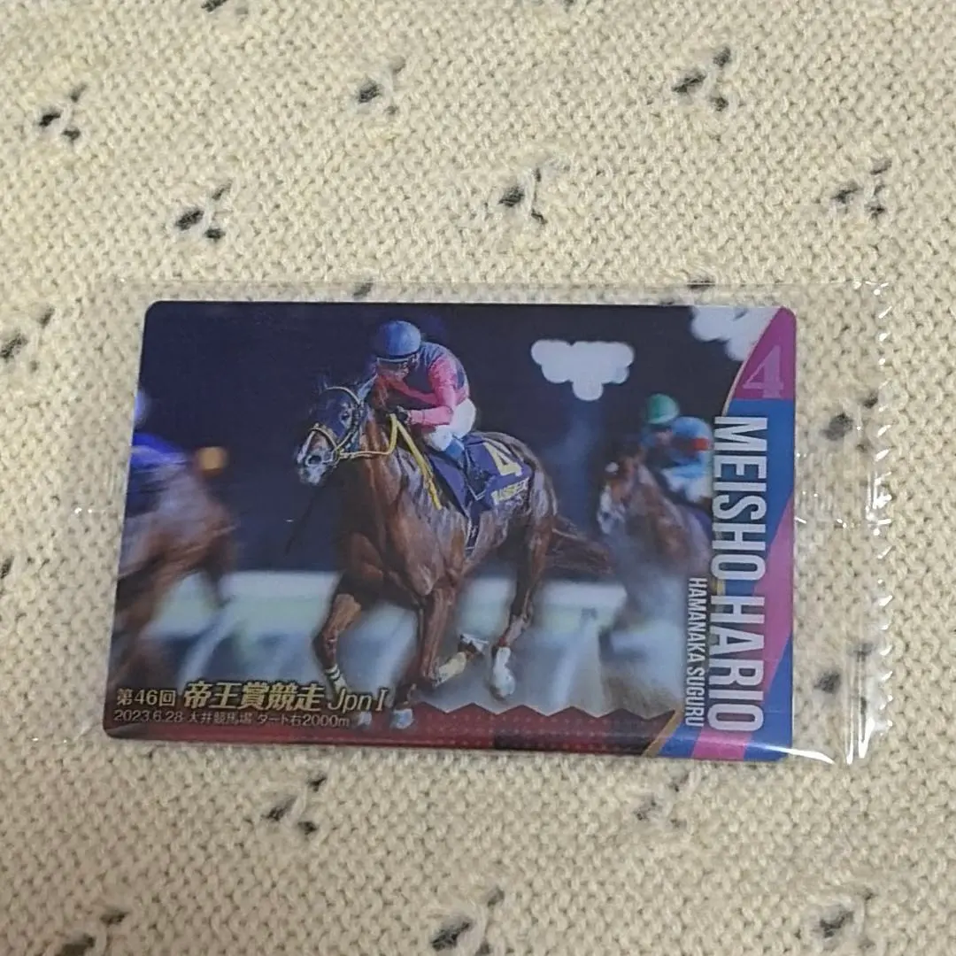 2026年最新】メイショウハリオの人気アイテム - メルカリ