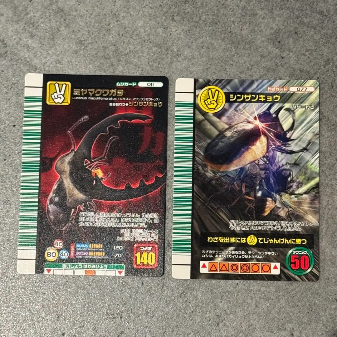 2026年最新】シンザンキョウの人気アイテム - メルカリ