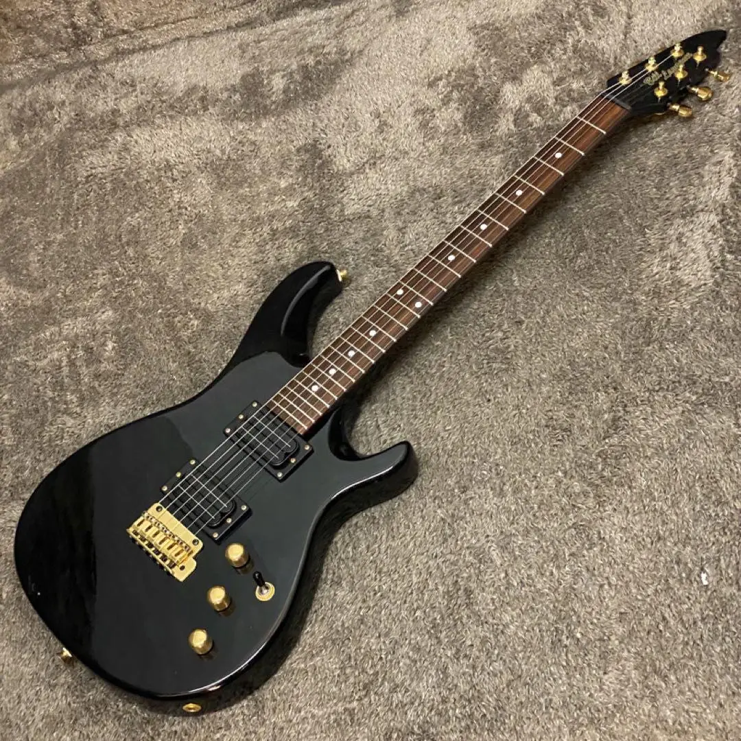 2026年最新】bill lawrence l-500の人気アイテム - メルカリ