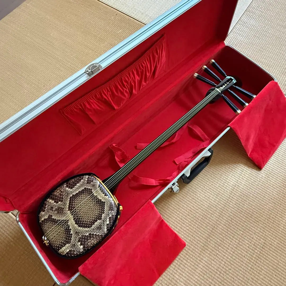 2026年最新】奄美三味線の人気アイテム - メルカリ