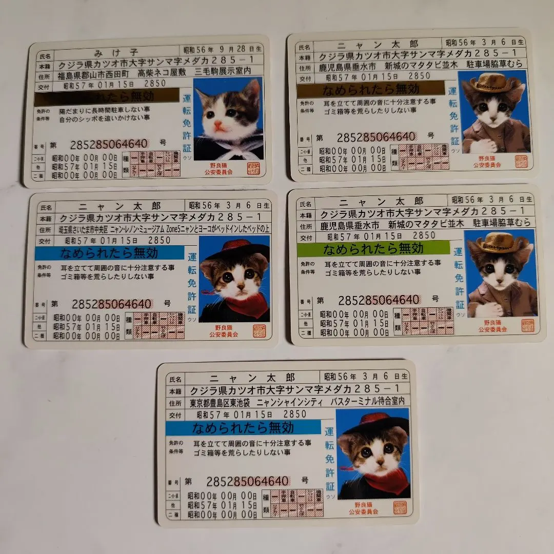 2026年最新】免許証 ゴールド なめ猫の人気アイテム - メルカリ