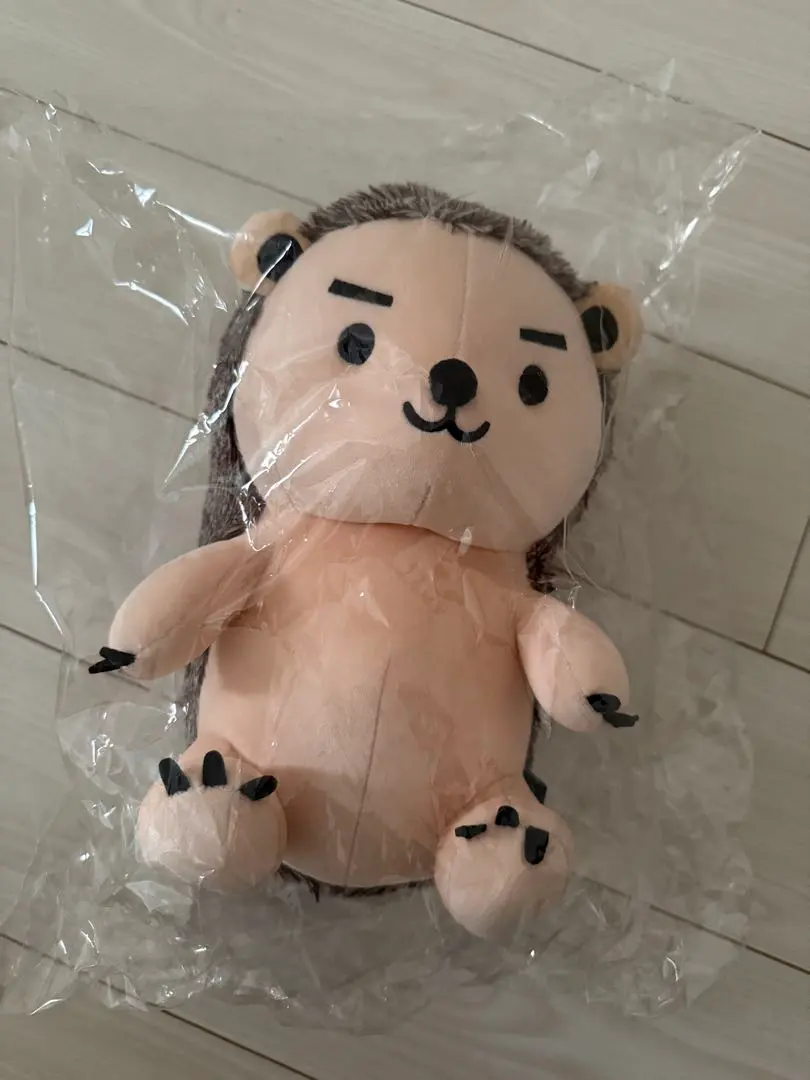 2026年最新】sf9 テヤン ぬいぐるみの人気アイテム - メルカリ