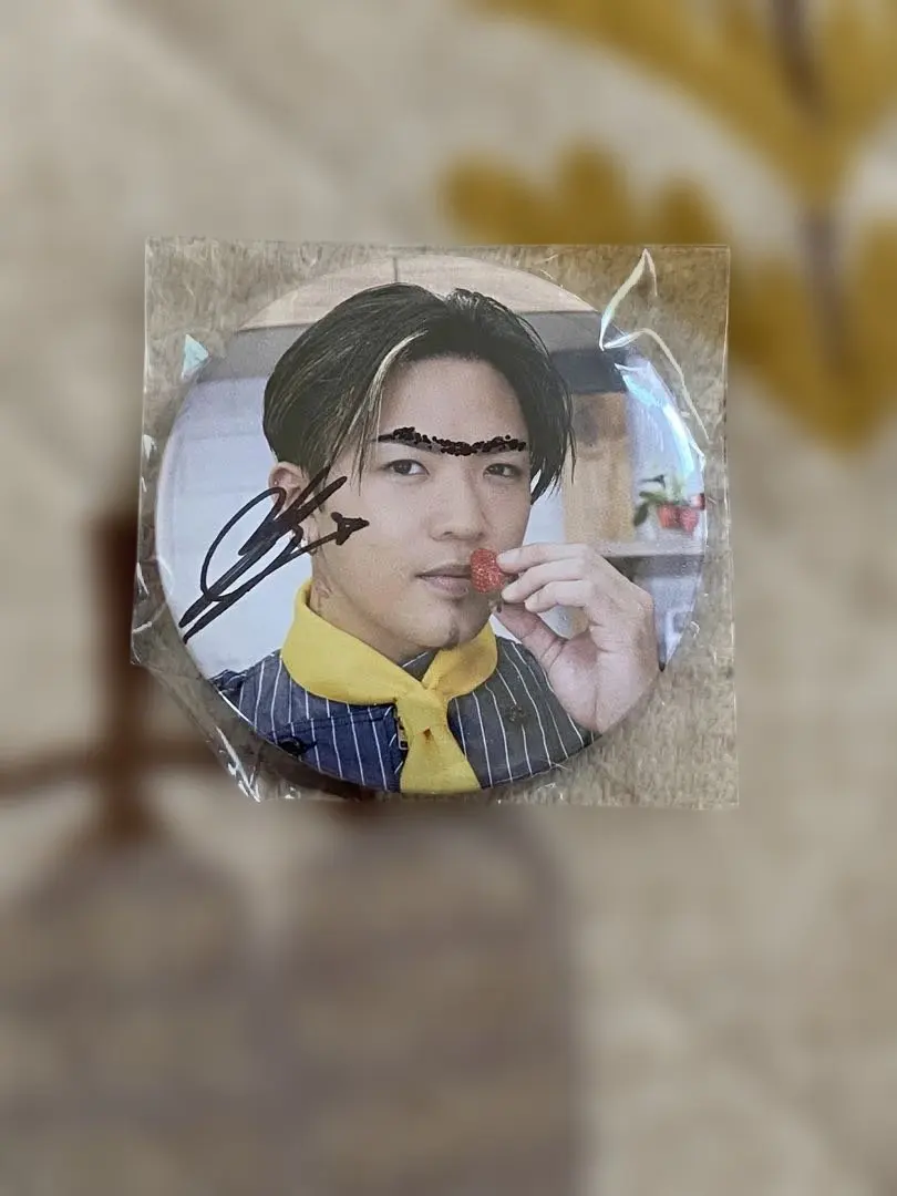 2026年最新】数原龍友 サインの人気アイテム - メルカリ