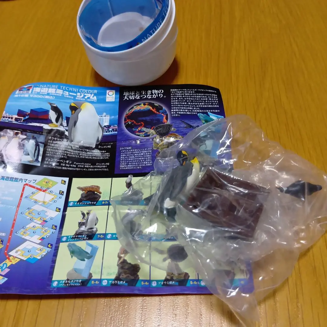 2026年最新】ネイチャーテクニカラー 海遊館の人気アイテム - メルカリ