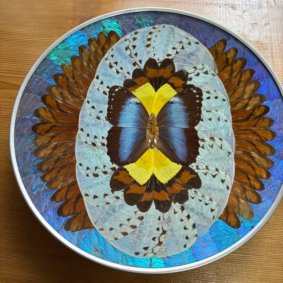 2026年最新】ブラジルモルフォ蝶壁掛けの人気アイテム - メルカリ