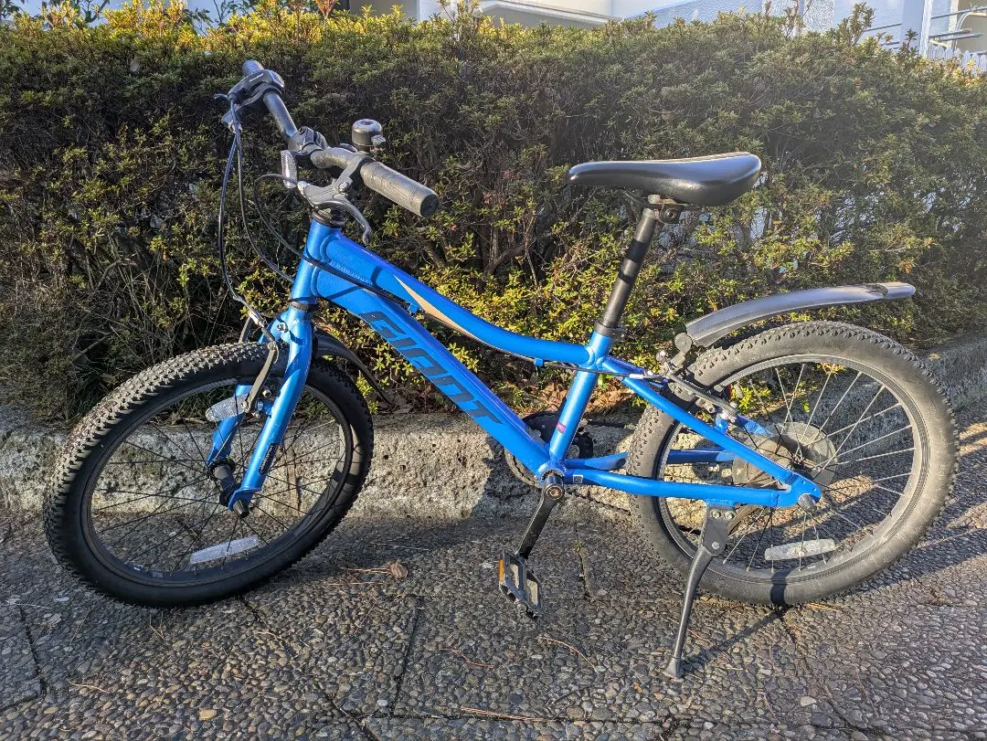 2026年最新】ジャイアント GIANT XTCの人気アイテム - メルカリ