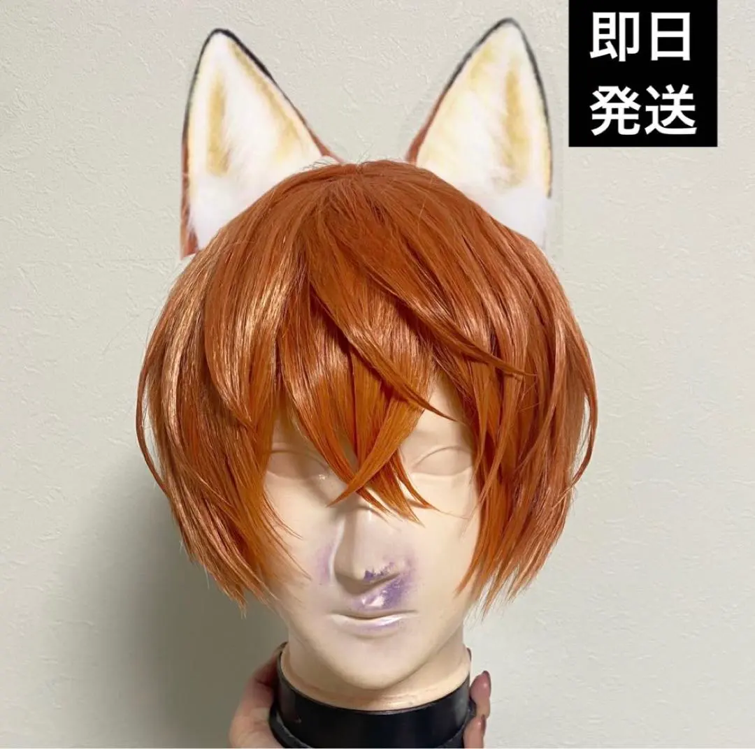 2026年最新】ウィッグ ズートピア ニックの人気アイテム - メルカリ