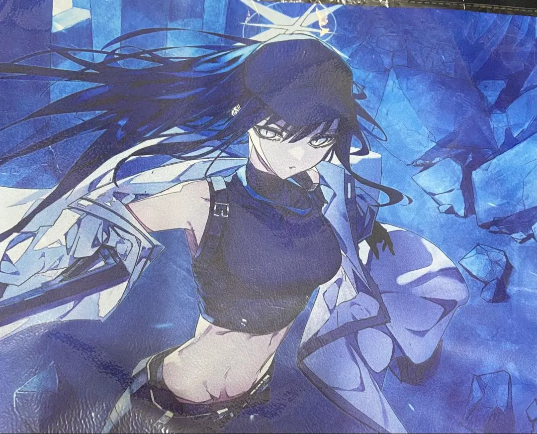 2026年最新】ブルアカ サオリ スリーブの人気アイテム - メルカリ