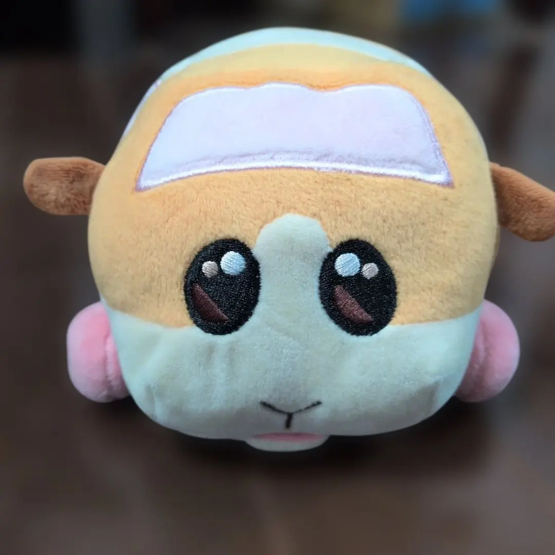 2026年最新】pui puiモルカー お目々うるっとぬいぐるみの人気アイテム