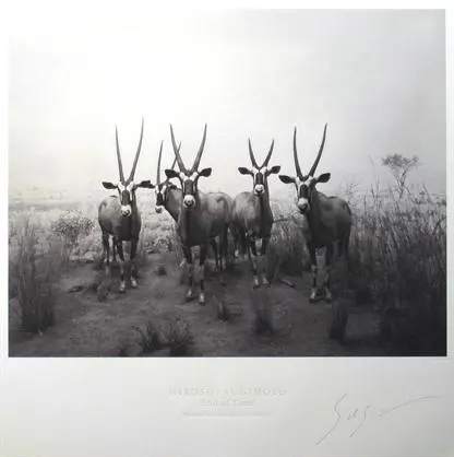 2026年最新】杉本博司 ポスターの人気アイテム - メルカリ