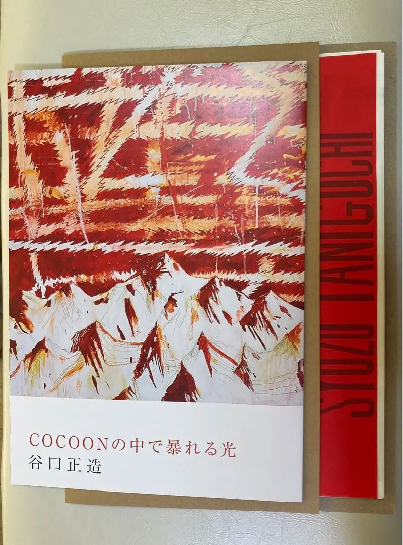 2026年最新】谷口_正造の人気アイテム - メルカリ