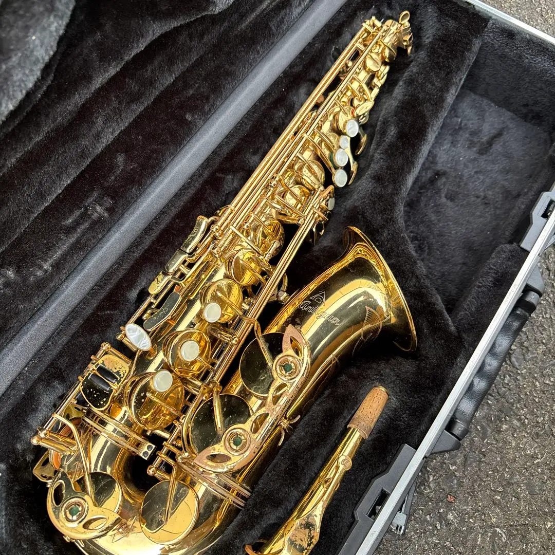 2026年最新】アンティグア アルトサックスの人気アイテム - メルカリ