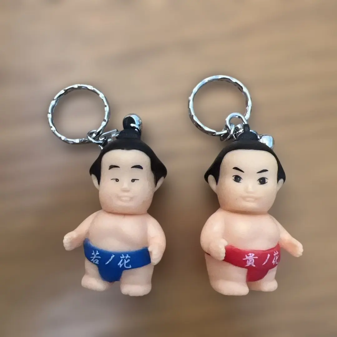 2026年最新】貴乃花 フィギュアの人気アイテム - メルカリ