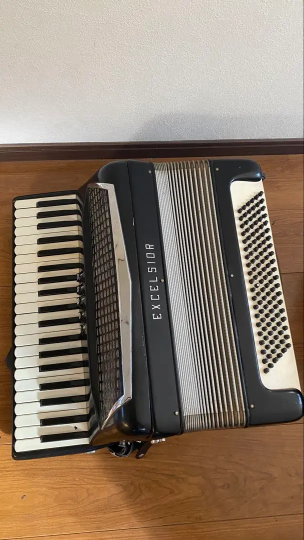 2026年最新】excelsior 400 アコーディオンの人気アイテム - メルカリ