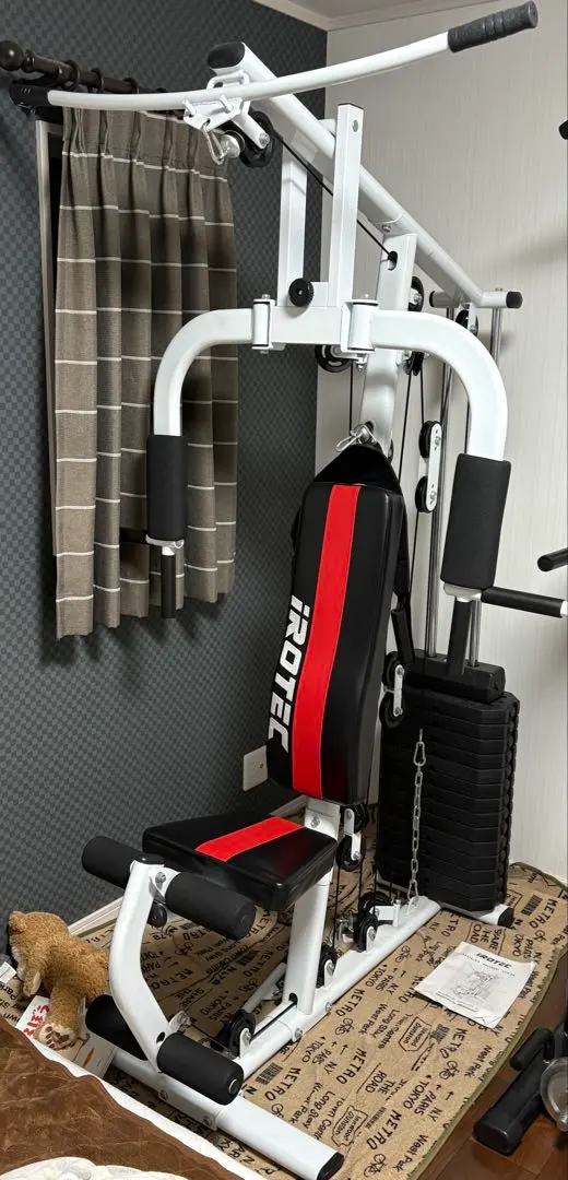 2026年最新】アイロテック マルチホームジムの人気アイテム - メルカリ