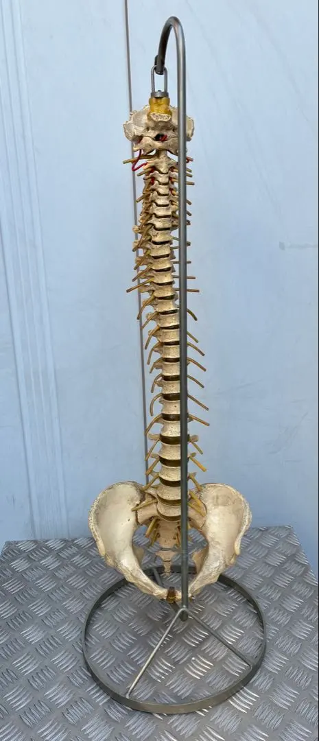 m41500202119_1.jpg?1763973148