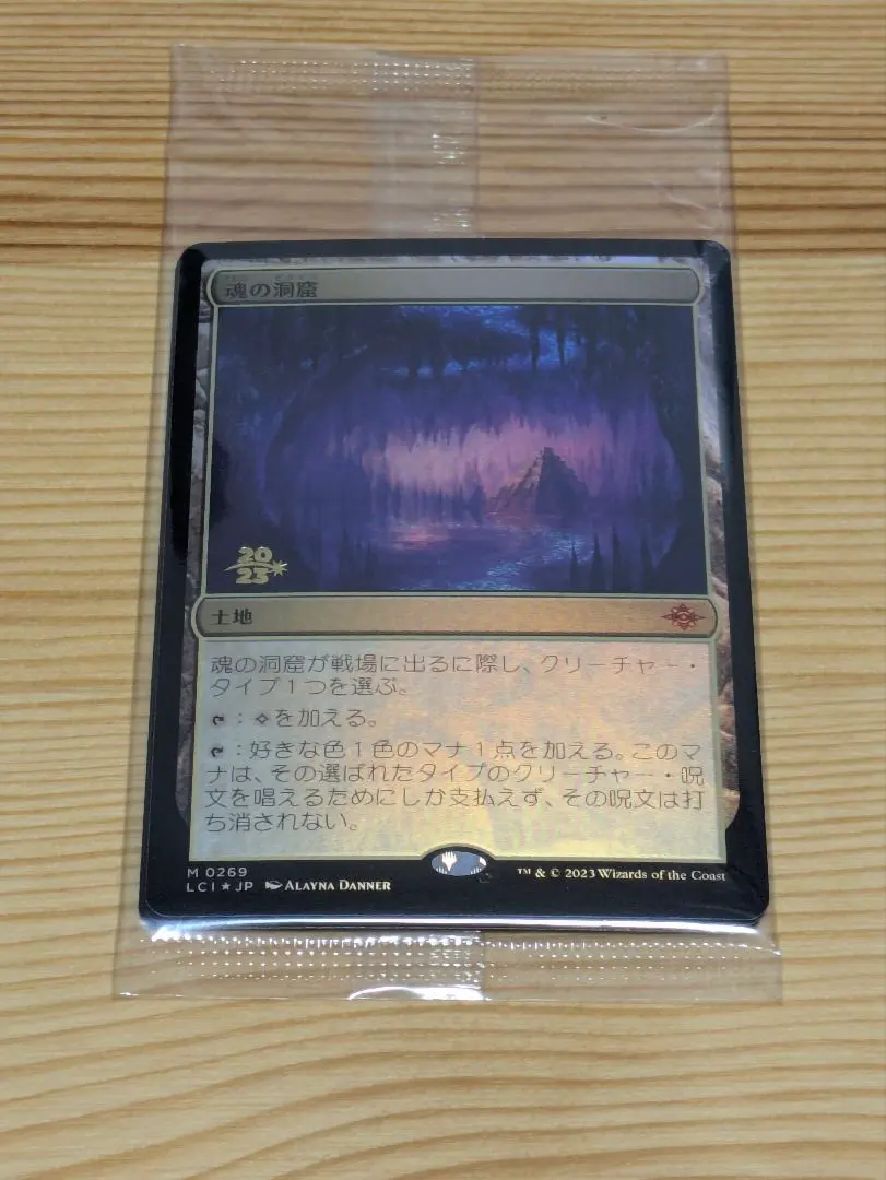 m41880684040_1.jpg?1768408246