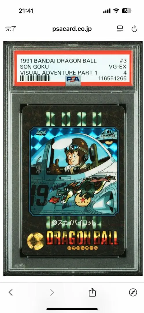 2026年最新】ビジュアルアドベンチャースカイパイロットの人気アイテム