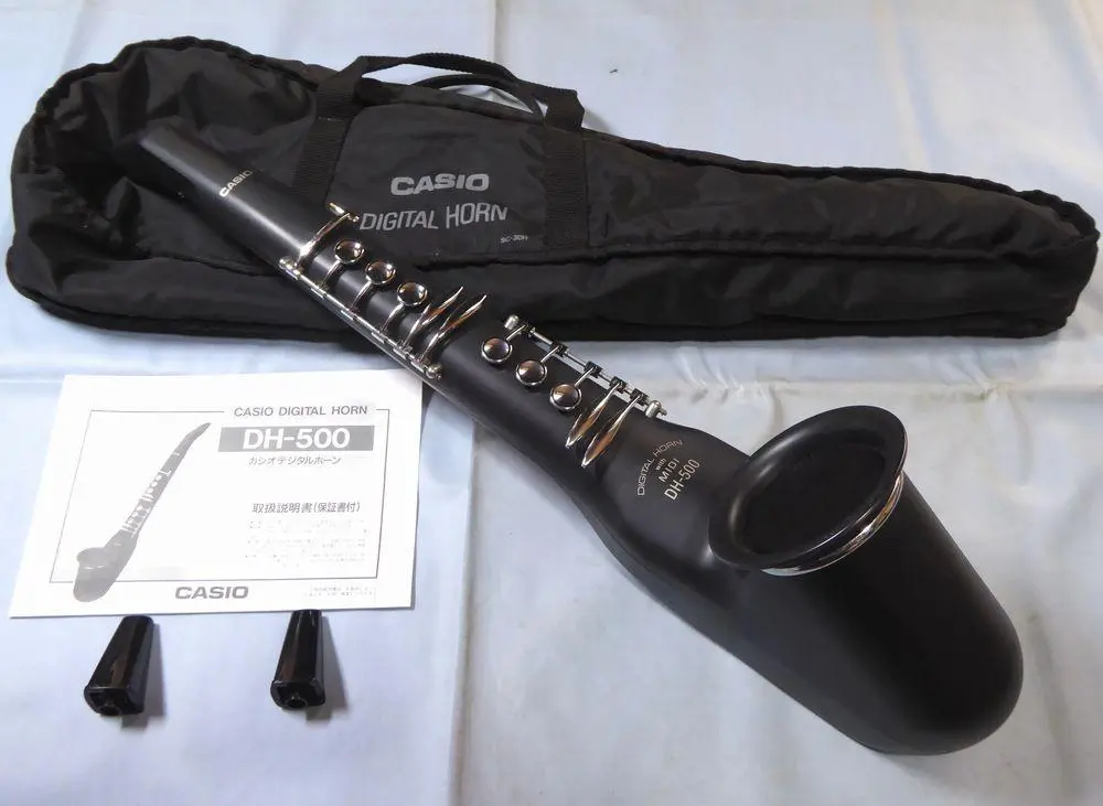 2026年最新】DH-500 CASIOの人気アイテム - メルカリ