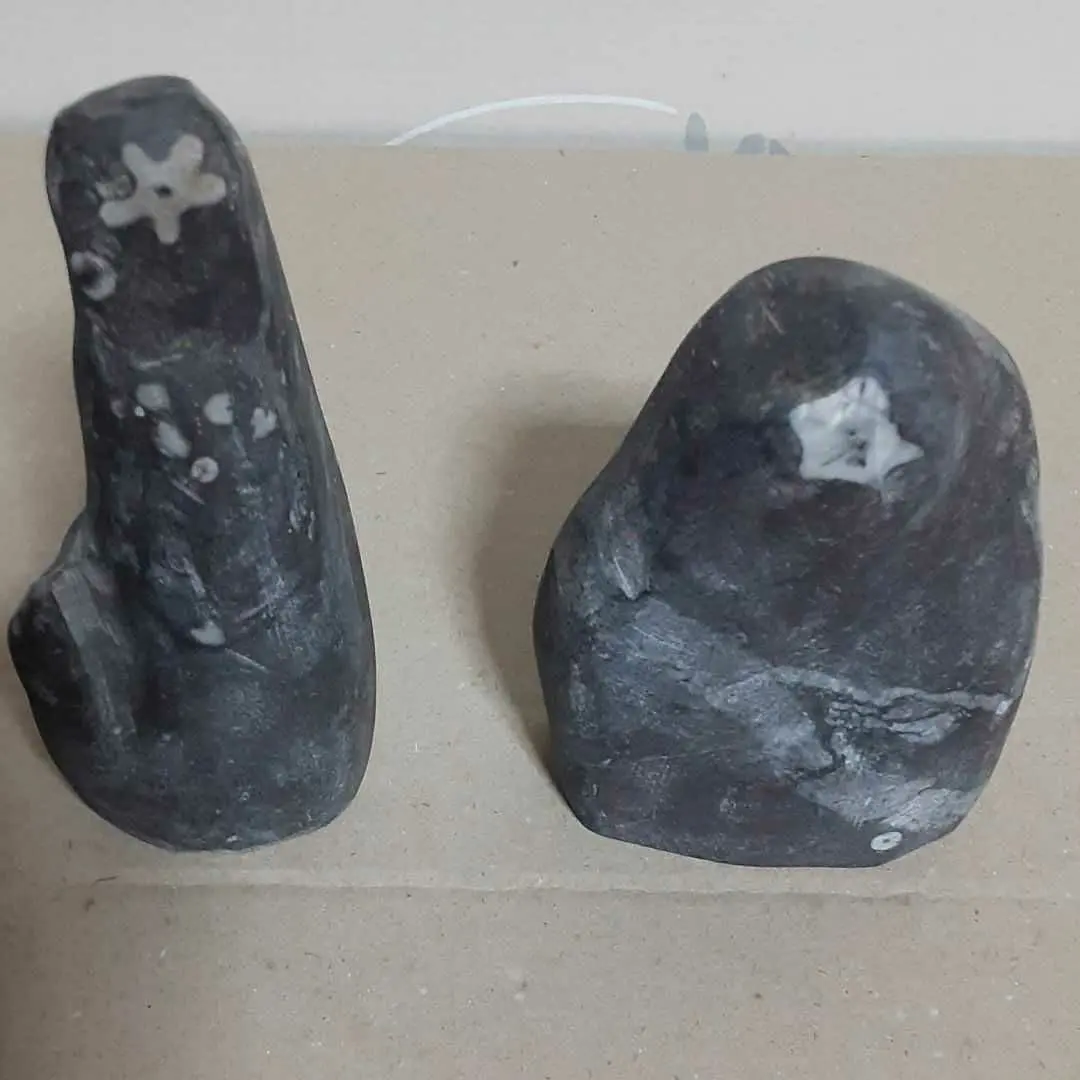 2026年最新】梅花石 門司の人気アイテム - メルカリ