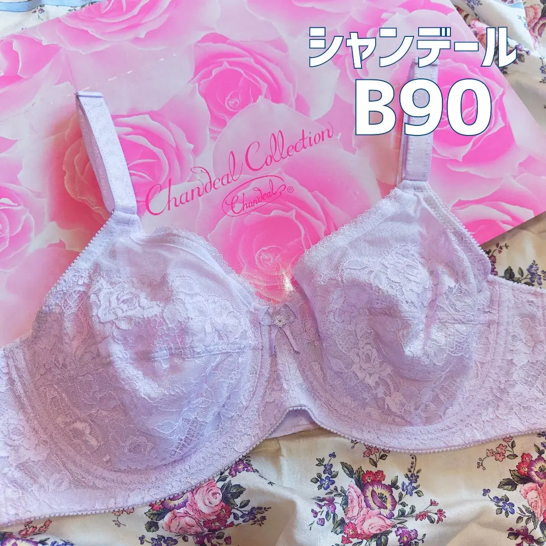 2026年最新】シャンデール ブラジャー90の人気アイテム - メルカリ