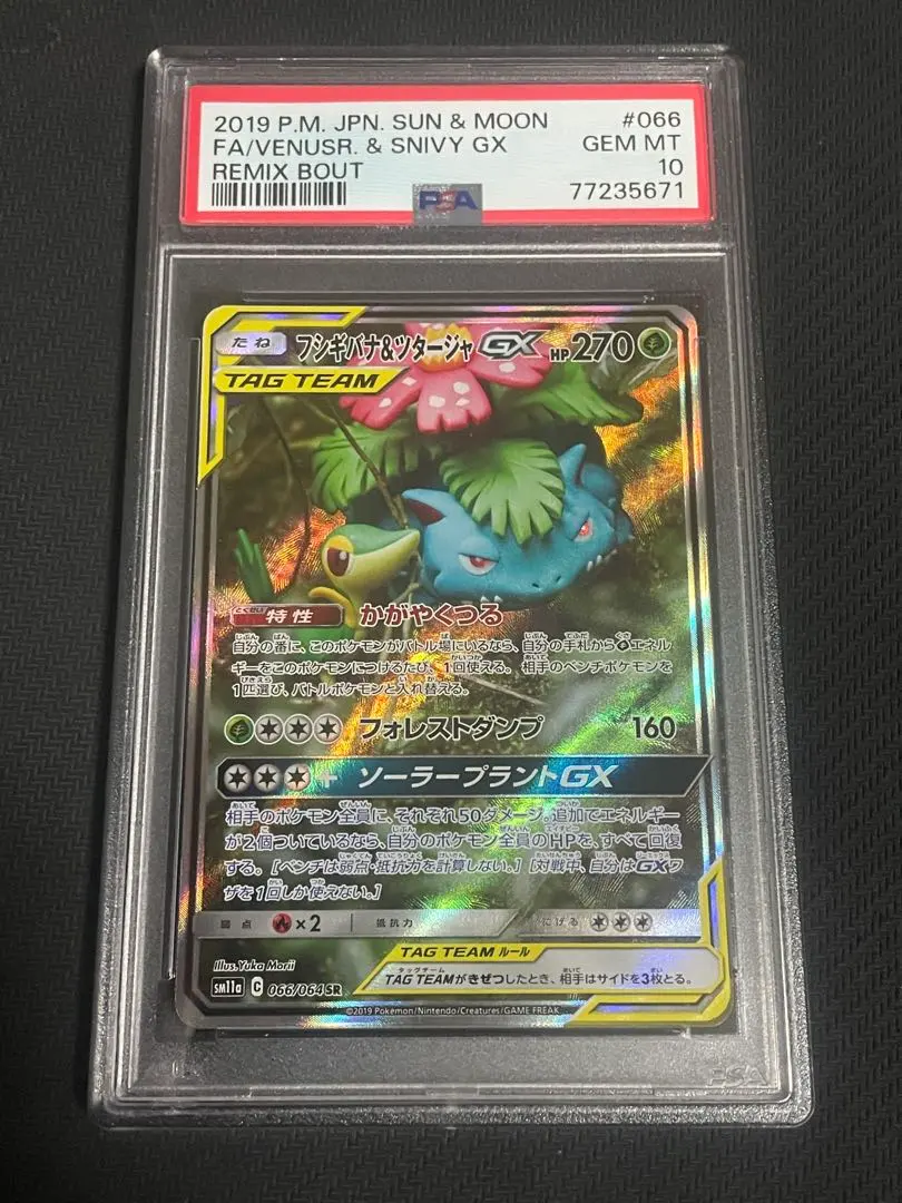 2026年最新】フシギバナ&ツタージャ sa psa10の人気アイテム - メルカリ