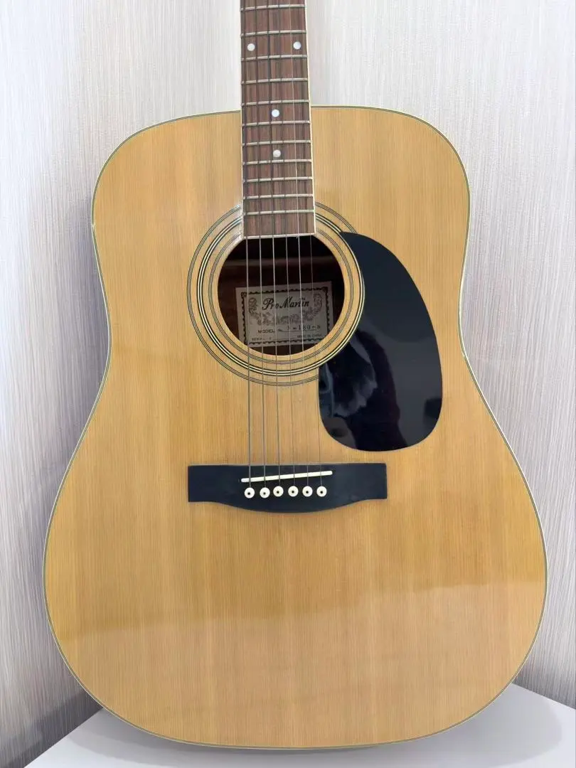 2026年最新】PRO MARTIN アコギの人気アイテム - メルカリ