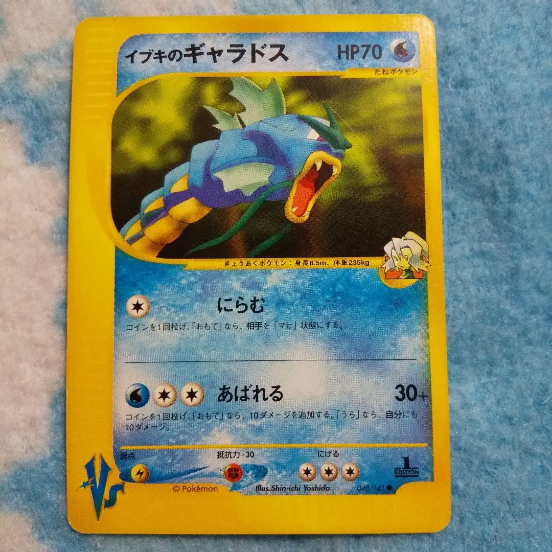 2026年最新】ギャラドス ポケモンgoの人気アイテム - メルカリ