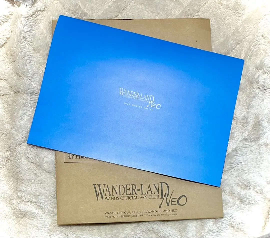 2026年最新】上原大史 wandsの人気アイテム - メルカリ