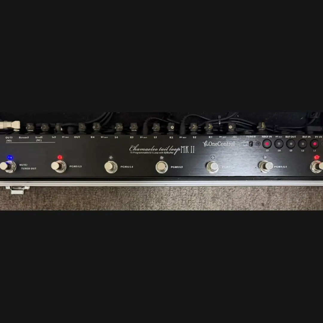 2026年最新】One Control Chamaeleo Tail Loop MKIIの人気アイテム