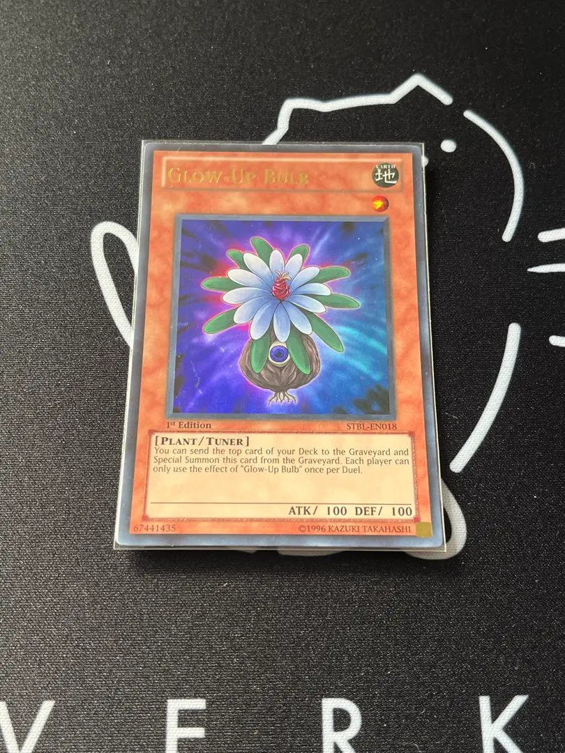 2026年最新】グローアップバルブ 英語の人気アイテム - メルカリ