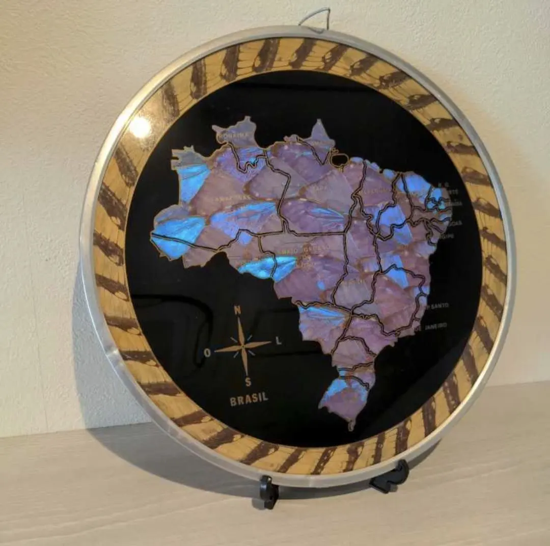 2026年最新】ブラジルモルフォ蝶壁掛けの人気アイテム - メルカリ