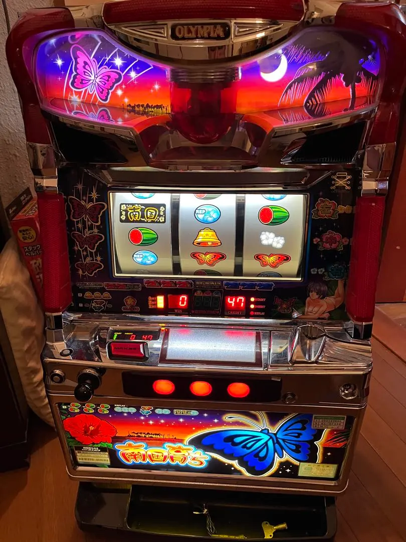 2026年最新】南国育ち 実機の人気アイテム - メルカリ