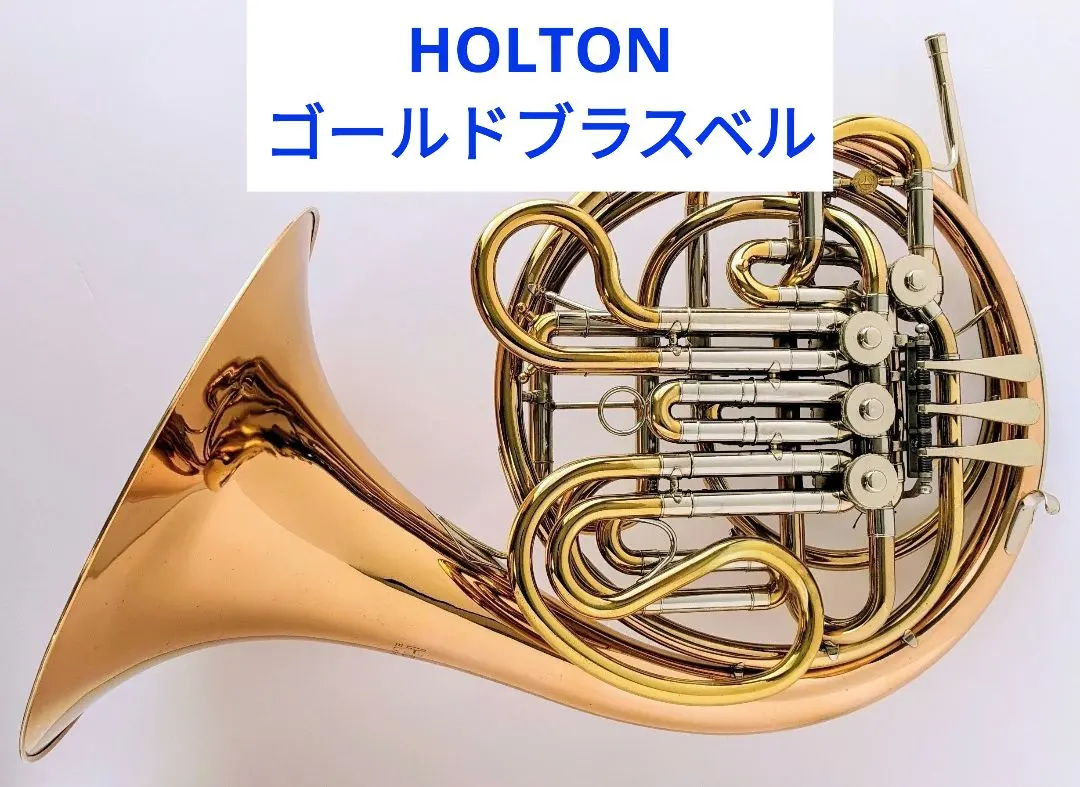 2026年最新】ホルトン ホルンの人気アイテム - メルカリ