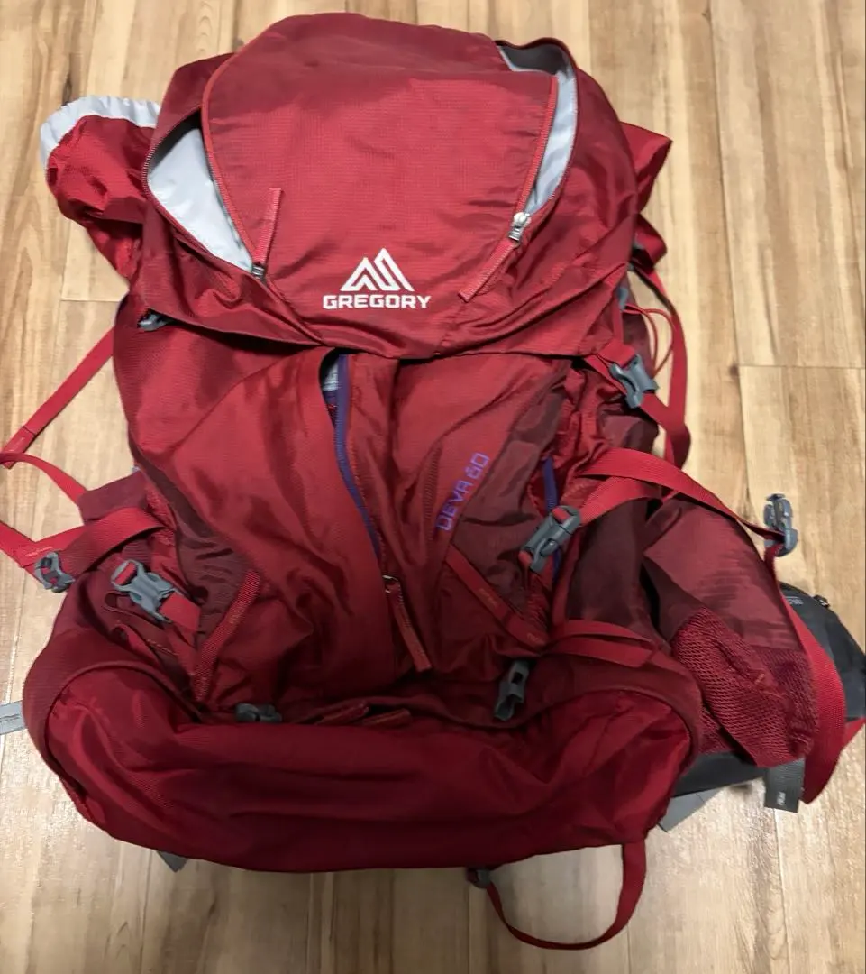 2026年最新】gregory グレゴリー ディバ60の人気アイテム - メルカリ