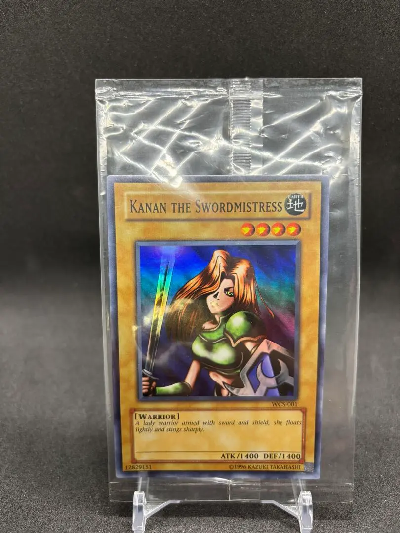 2026年最新】女剣士カナン wcsの人気アイテム - メルカリ