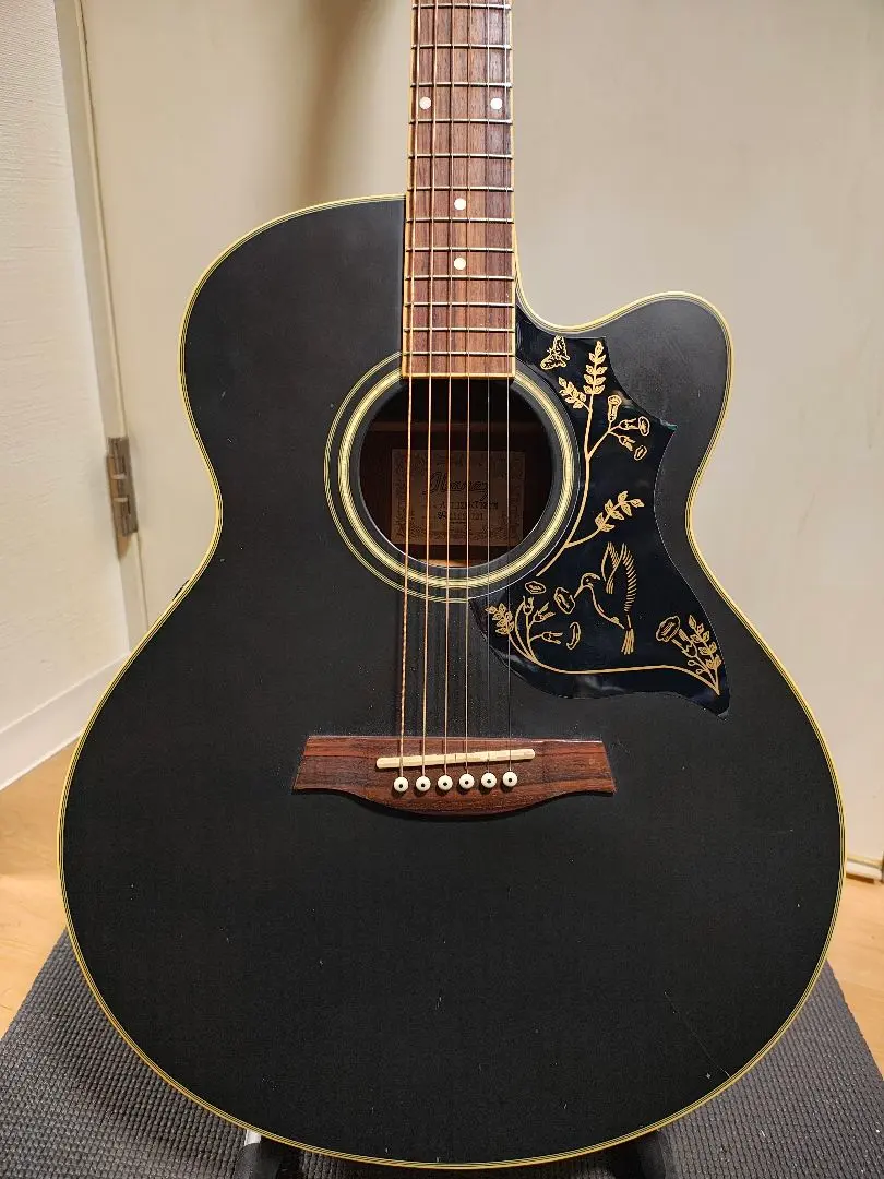 2026年最新】アイバニーズ AELの人気アイテム - メルカリ