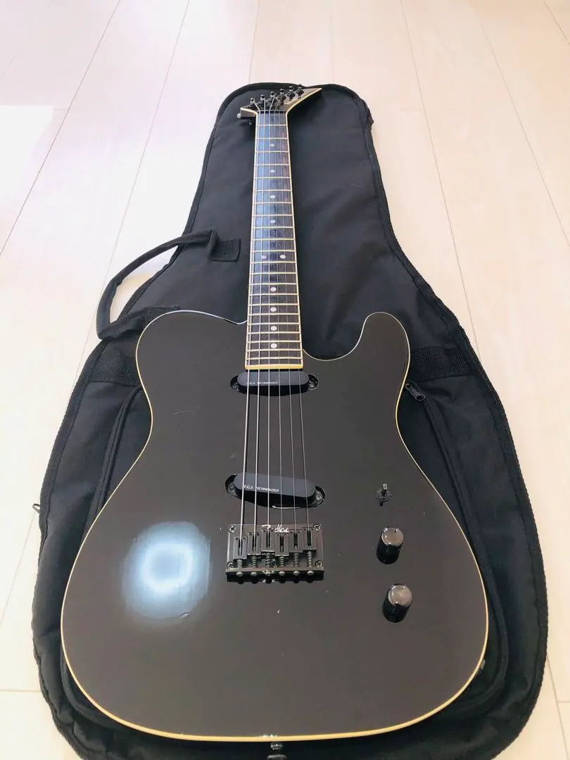 2026年最新】TEJ-75 fernandesの人気アイテム - メルカリ