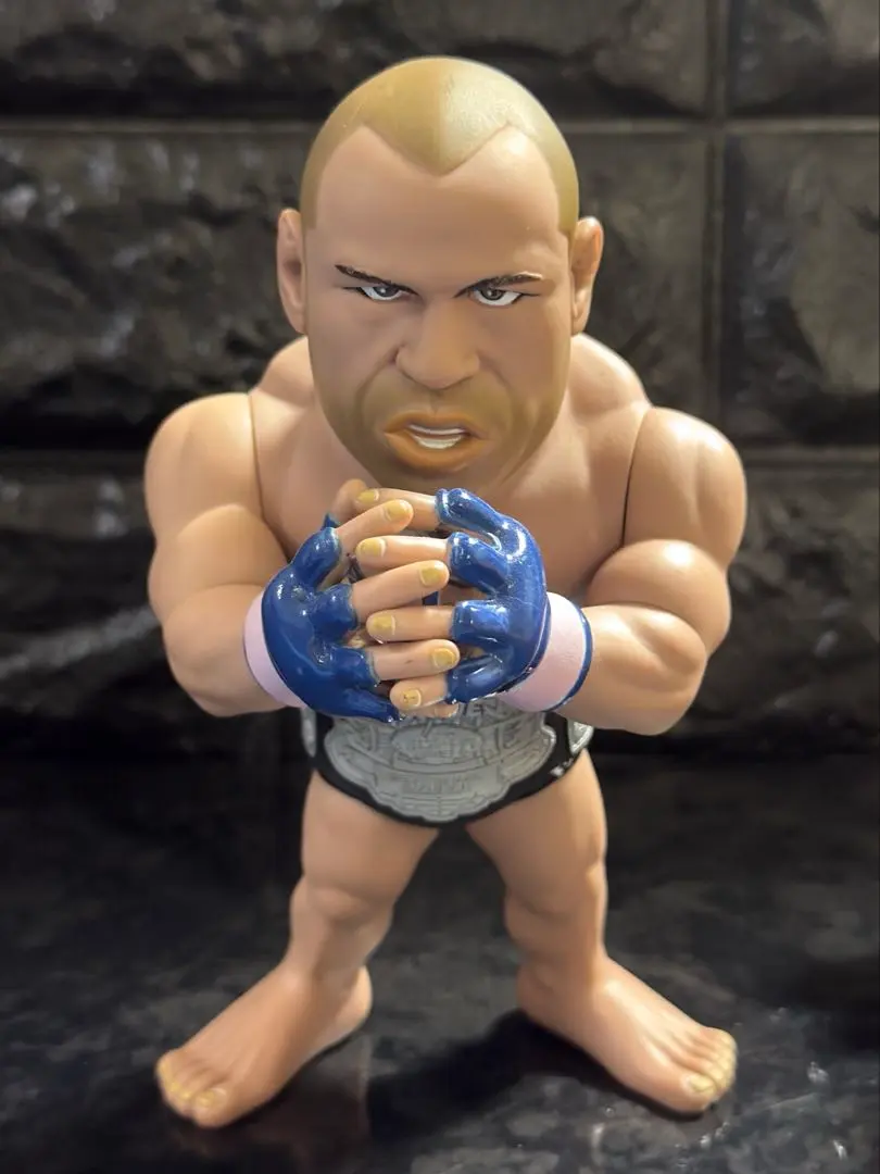 2026年最新】ヴァンダレイシウバの人気アイテム - メルカリ