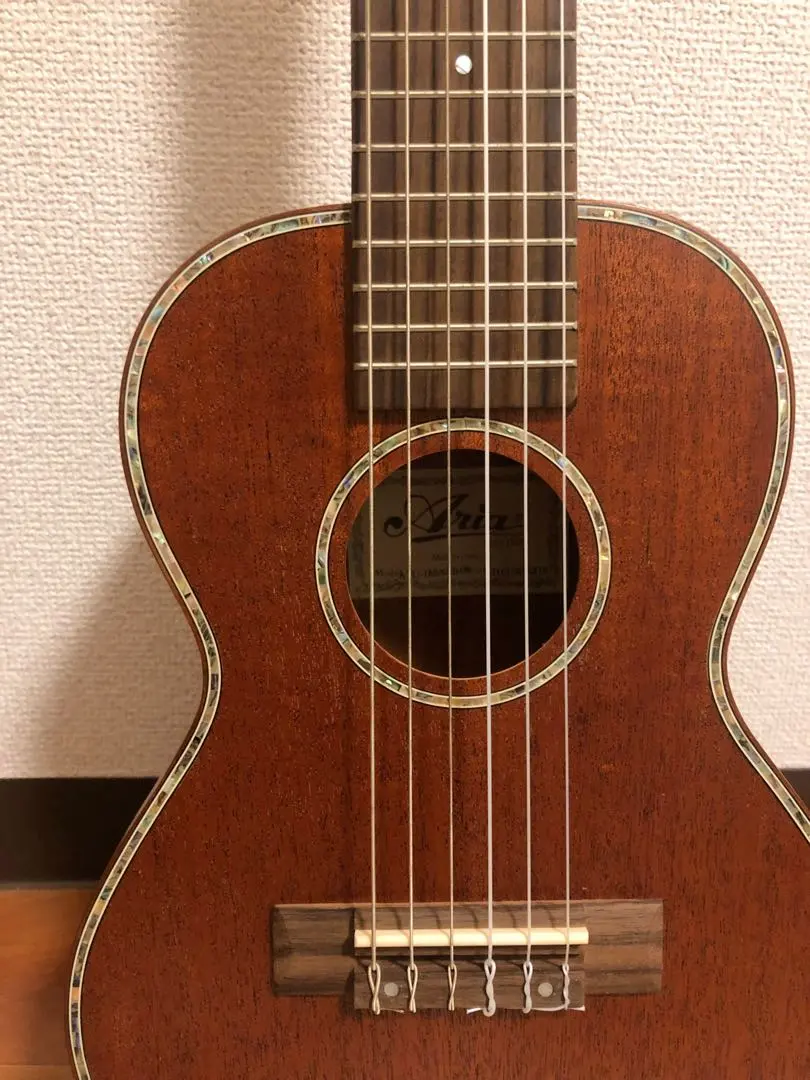 2026年最新】ギタレレ ARIAの人気アイテム - メルカリ