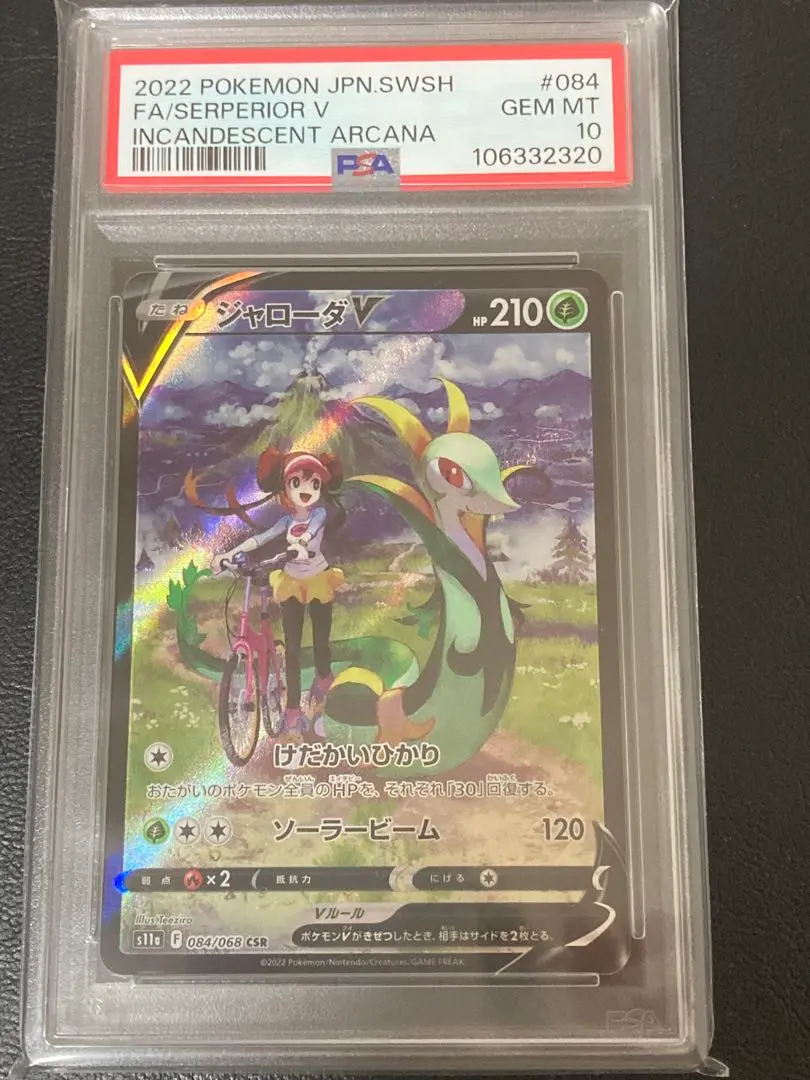 2026年最新】ジャローダv csr 美品の人気アイテム - メルカリ