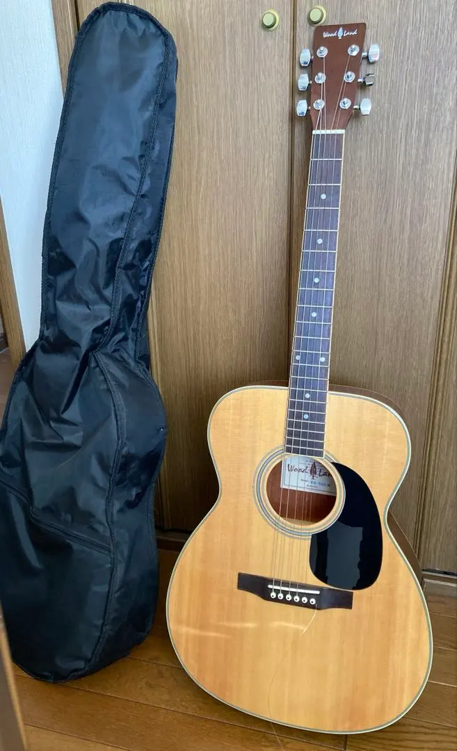 2026年最新】ギター wood landの人気アイテム - メルカリ