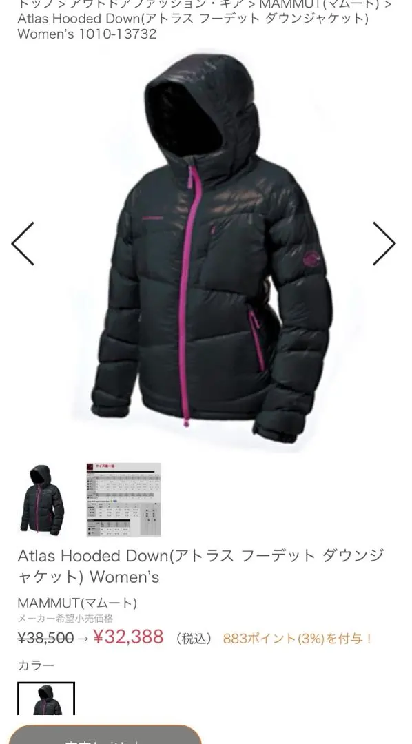 2026年最新】マムート アトラス フーデッド ダウンの人気アイテム