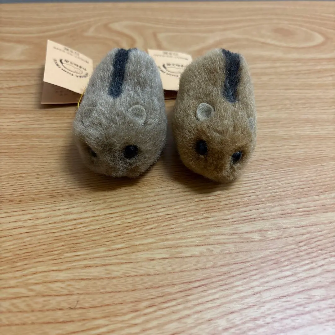 m44773122550_1.jpg?1769859657