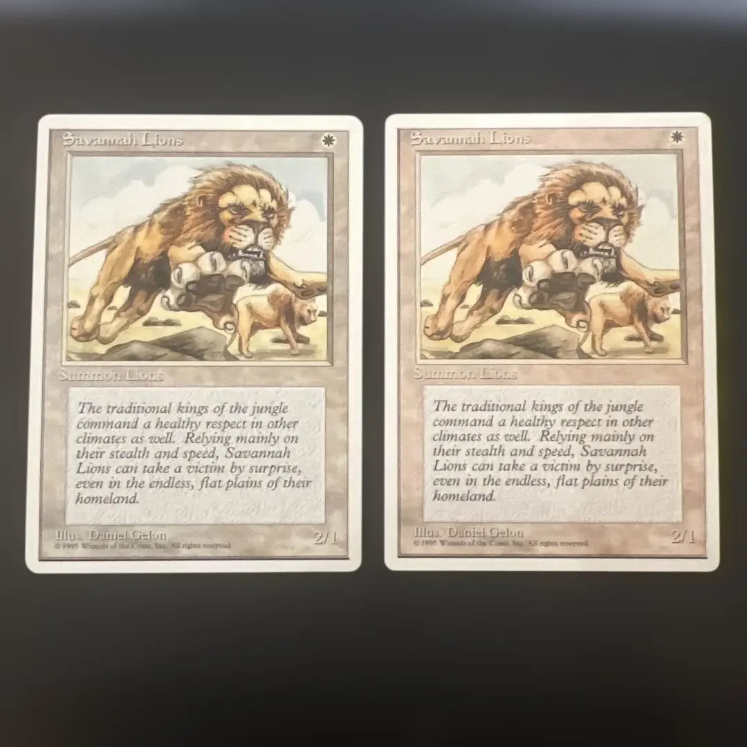 2026年最新】サバンナ mtgの人気アイテム - メルカリ