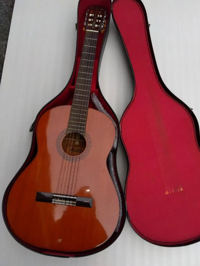 2026年最新】MORRIS B 12弦の人気アイテム - メルカリ