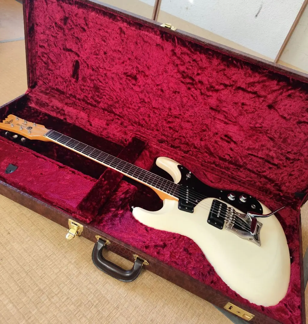 2026年最新】モズライト ハードケースの人気アイテム - メルカリ