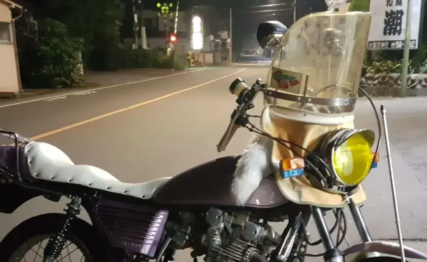 2026年最新】ナポロッキー ミラーの人気アイテム - メルカリ