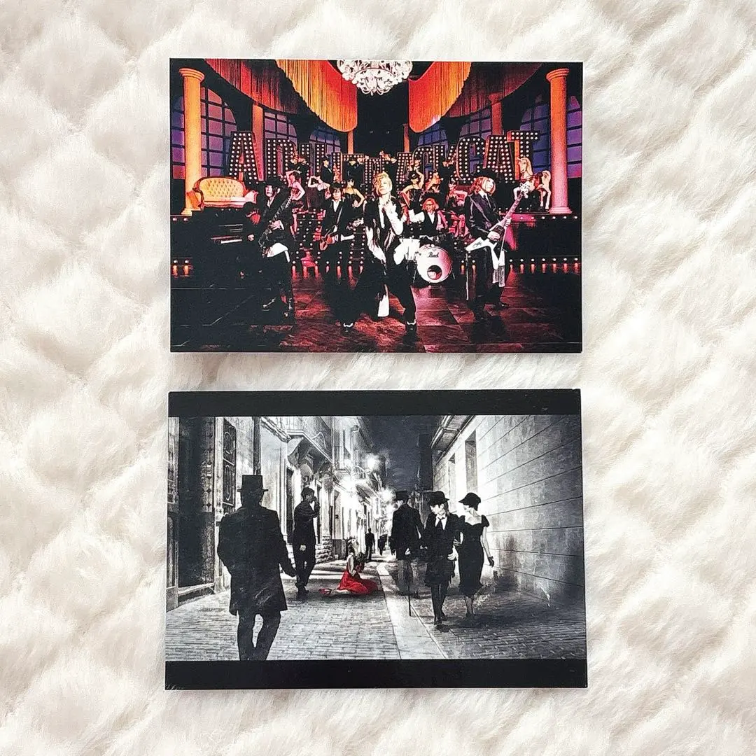 2026年最新】acid black cherry トレカの人気アイテム - メルカリ