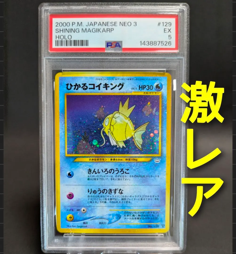 2026年最新】ひかるコイキング psa 旧裏の人気アイテム - メルカリ